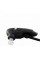 Слуховой аппарат Ear Zoom , портативный усилитель слуха Black