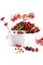 Машинка для удаления косточек Helfer Hoff Cherry and olive corer