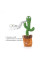 Танцующий кактус поющий 120 песен с подсветкой работает от аккумулятора Dancing Cactus