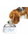 ЁМиска антипроливайка для собак и кошек MAGIC BOWL 1,5л White
