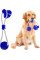 Многофункциональная игрушка для собак канат на присоске с мячом Dog toy rope PULL