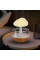 Нічник та зволожувач повітря Гриб RAIN HUMIDIFIER з підсвічуванням та ефектом дощу