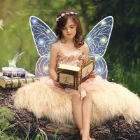 Крылья феи "Shadow Angel", LED подсветка и подвижный механизм