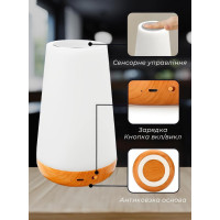 Ночник с сенсорной лампой и аккумулятором с USB зарядкой для спальни настольная лампа 9171