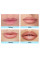 Помада и контур для губ матовый Peel-Off Lip Liner 00/02 оттенки красный и коричневый