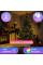 LED гирлянда 10LINE 2 м, 200 ламп, мультицветная, управление APP и USB, IP64
