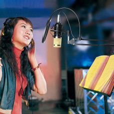 Мікрофон Music M-800 студійний конденсаторний з попфільтром і стійкою